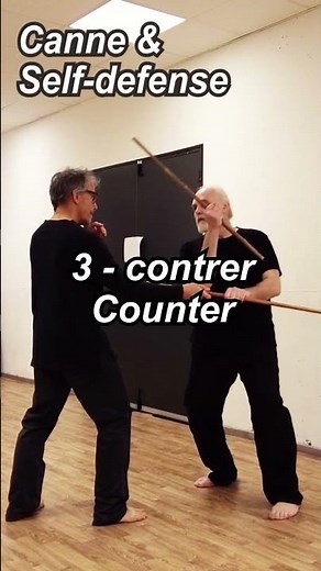 Canne et Self-défense - Saisir et contrer - Grab and Counter