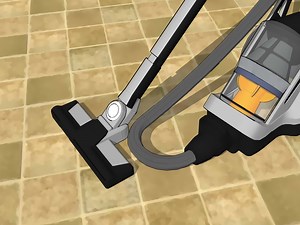 3 manières de éliminer les poissons d'argent - wikiHow