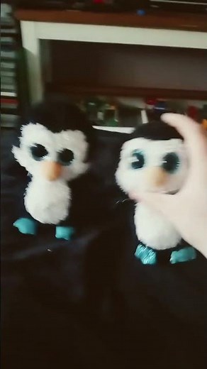 Two differences of waddles the penguin from Ty beanie boos #beanieboos