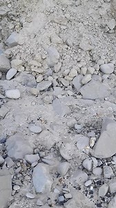 Multiple ammonites from a fresh cliff fall #science #dinosaur #museum #minerals #CotedOpale #ammonite #rocks #ancient #capblancnez #paleontology | Fossiles de cap blanc nez