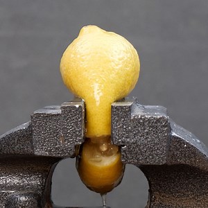 16M views · 39K reactions | Useful Salt & Lemon Hacks! | Crafty Panda | Facebook