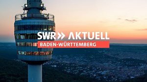 Invasive Ameisen - jetzt auch in Schallstadt