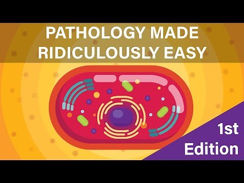 Pathology Made Ridiculously Easy | 1st Edition | Digital Book