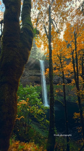 Tranquil beauty at Silver Falls, where waterfalls meet the warm glow of Oregon’s fall colors. 📍Pacific Northwest 📸 @izak.photography #beautifuldestinations #pnw #nature #pacificnorthwest #waterfalls #pnwexplored #forest #waterfalllovers #discoverearth #divineforest #pnwphotographer #pnwwonderland #pnwadventures #pnwcollective #pnwhiking #pnwphotography #pnwlife | Izak Photography