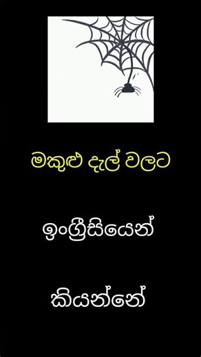 ❌ 'Spider Web' නෙවෙයි! 🤫 මකුළු දැල්වල නිවැරදි නම Cobwebs! #shorts