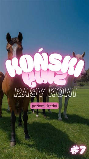 Koński quiz #7 RASY ŚREDNI🐴🐴 #jazdakonna #konie #stajnia #horse #jeździec #horsegirl #quiz