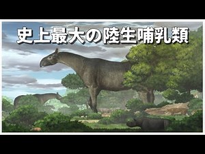 [Slow explanation] Paraceratherium, the largest land mammal in history