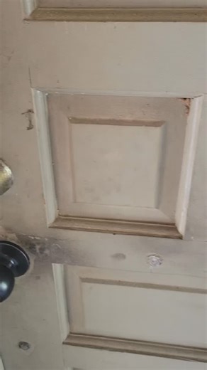 Steve Sanderson on Reels