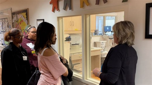 Albany nursing program looks to inspire students, foster diversity