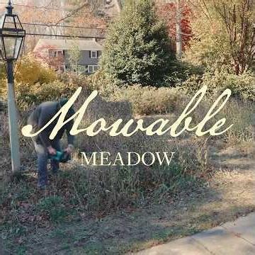 Mowable Meadow: A 2 step guide to cut down your meadow this season. #sustainablesolutions