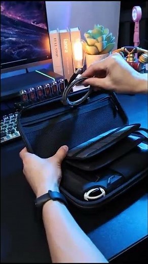 Mumba Switch Carrying Case