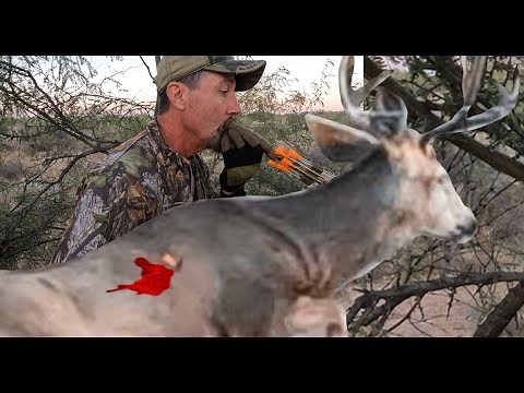 Deer smoked by Blowpipe plus Multiple dove Slocks, Filmed in 5k