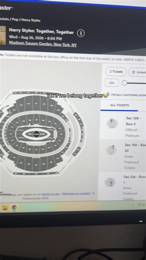 Harry Styles Concert Experience: Fans Share Emotions and Outfits