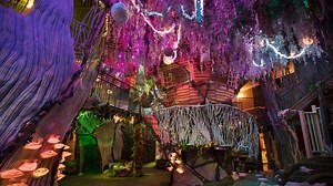 36K views · 268 shares | The Forest was the most collaborative part in the making of House of Eternal Return  ✨meowwolf.com✨ | Meow Wolf | Facebook