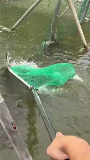 Practical Underwater Retrieval with a Small Dip Net