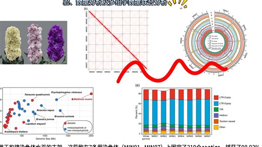 小诺课堂-文献解读第66期