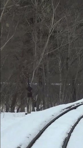 鹿も飛び出すような冬の雪が積った山田線の前面展望