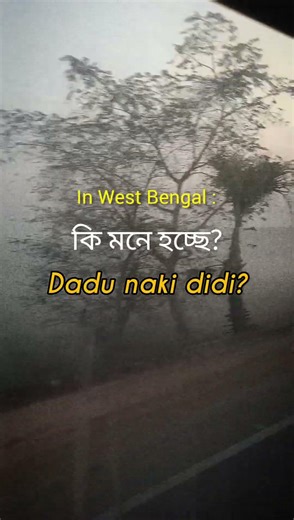 Dadu na didi? #bengalelection #foryouシ #trending