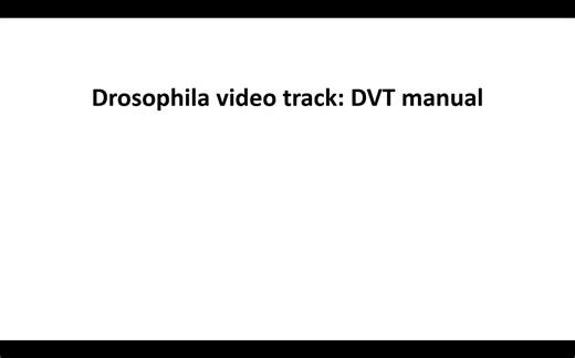 Video tutorial on DVT: high-throughput pipeline for drosophila behavior analysis