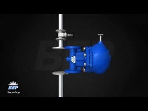Steam Trap - BEP Engineering