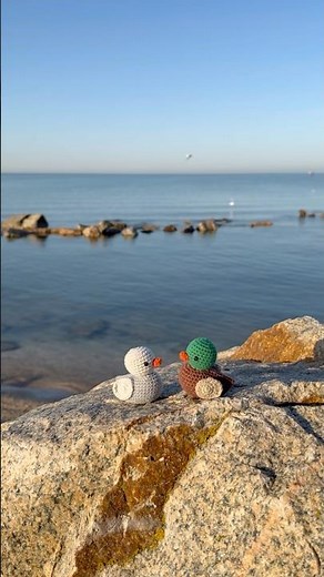 cute little DUCKS #crochettoys #amigurumi