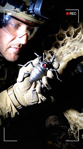 The Swarm | Explorer Awakens a Metallic Hive Beneath the Tomb