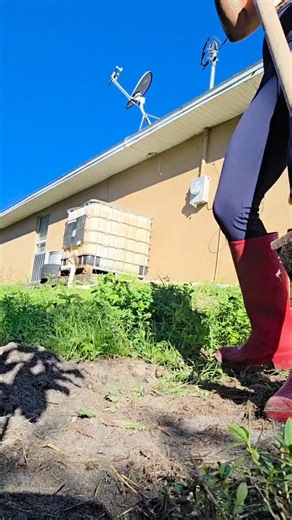 Planting an avocado tree I grew from seed 🥑 A day to remember — October 2025. Slow growth. Deep roots. A lot of meaning. | Janise Morton-Albertsz