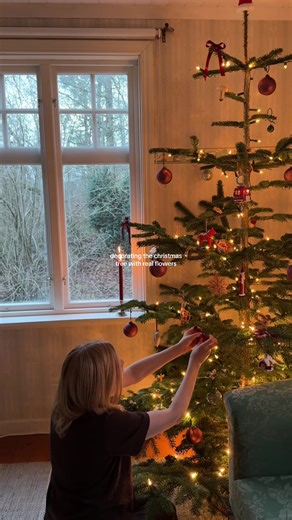 A very cottagecore christmas - with real Amarillys and some other nice flowers 🌺🎄🕯️ If I can‘t have my garden, I‘ll bring it indoors! #cottagecore #cottagechristmas #christmastree