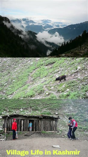 Nature life Daily life in Kashmir