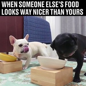 2.9M views · 31K reactions | EVERYONE can relate  | LADbible | Facebook