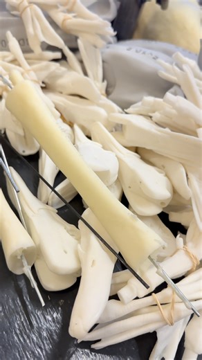 Evolution Series fits like a glove!! 🙌🔥 Back in stock — don’t sleep on it ⏳🛒 #waterfowl #DuckWorxsSupply #taxidermist #DuckHunting #GearDrop | Duck Worx Supply