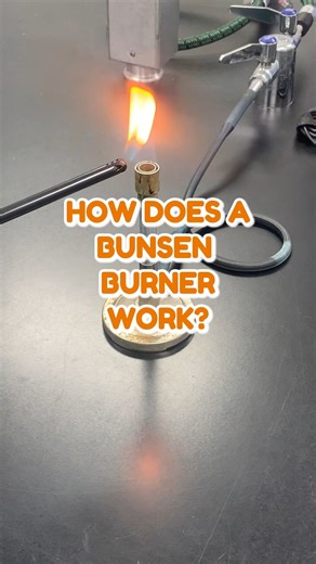 Do you have a dedicated lab area? If you’re building out a Micro QA/QC program🧫, aseptic technique is crucial! Find a nice secluded tabletop area free of high traffic or errant air flows. Work as close to the flame 🔥 as possible and limit outside exposure. #PurePitchNextGeneration #YeastEssentials #ScienceNerds #FlexBrink #DryYeast #WhiteLabsYeast #Yeast #Fermentation #Yeastman #CraftBeer #beer #homebrewing #brewing | White Labs