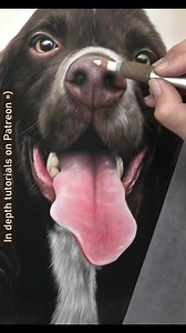 66K views · 818 reactions | Here are a few clips of Otis's pastel drawing in progress :D | Zara's Pet Portraits & Wildlife Art | Facebook