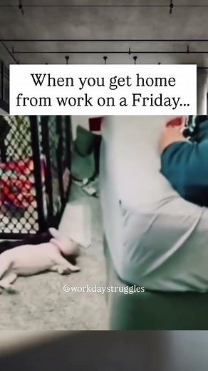 When you get home from work on a Friday… #funnyworkmemes #fridayfeeling