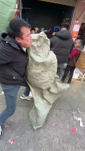 Now I'm in for a Wild Ride: Hilarious Pranks Without a Queue