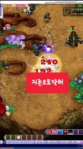 지존오토 사용법 및 실행법 오픈채팅 지존오토닥터