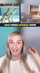 58K views · 513 reactions | How Things ACTUALLY Work! #Reels | Inet Technology Central | Facebook