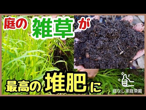 Don't throw away weeds! The ultimate secret to turning garden weeds into fluffy compost ♪ [How to...
