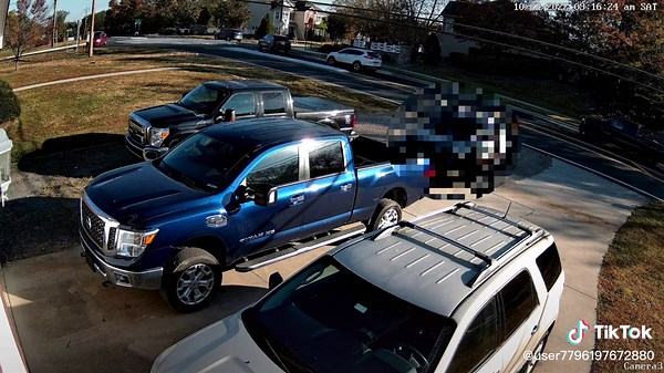 Roundabout Challenge: Suburban Vehicle Encounters