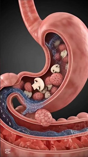 You Won’t Believe What Mushrooms Do Inside Your Body 🍄