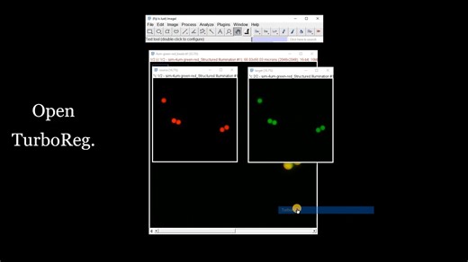 ImageJ通道配准与对齐 [TurboReg 和 MultiStackReg]