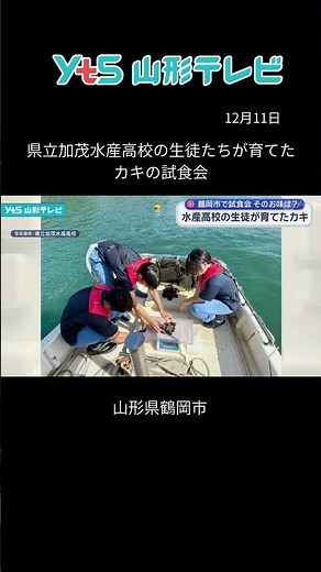 Tasting of oysters grown by students of Kamo Prefectural Fisheries High School
