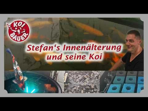 Stefan's Fische und seine Koi im Jahr 2026 | Koi Bauer