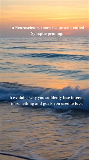 “Your Brain Is Deleting Old Interests (Synaptic Pruning)”