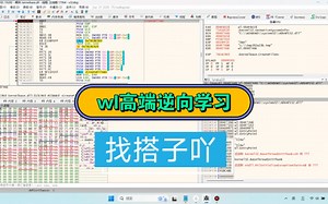 wl逆向winLicense逆向教学，找搭子哈