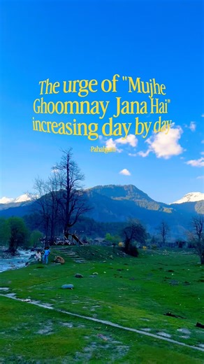 Pahalgam Isn’t What Instagram Shows…😍🏔️ #betabvalley #arvalley #lidderriver #kashmirvalley