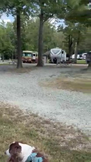 Video of Greensboro KOA, NC from Joel R.