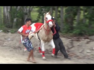 Luna vs Sereno - Corrida de cavalos - Eunápolis/BA