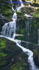 The 'WHO' Method: Why Choosing The Right People Defines All Success