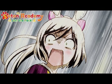 Zebra Aren't Horses | Seton Academy: Join the Pack!